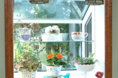 Garden Windows