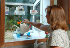 Garden Windows